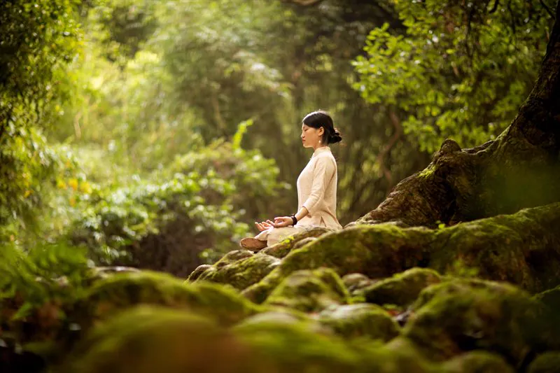 Meditation and Mindfulness